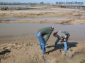 Tracking in East Texas