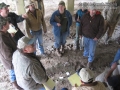 Tracking in East Texas