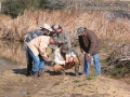 Tracking in East Texas
