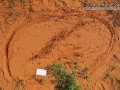 Coyote Scrape