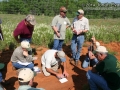 Tracking in South Texas