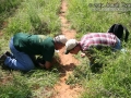 Tracking in South Texas
