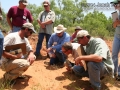 Tracking in South Texas