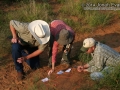 Tracking in South Texas