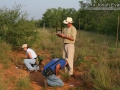 Tracking in South Texas