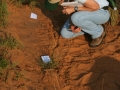 Tracking in South Texas