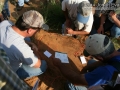 Tracking in South Texas
