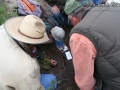 Tracking in West Texas