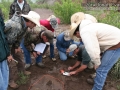 Tracking in West Texas