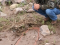 Tracking in West Texas