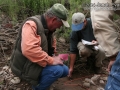 Tracking in West Texas