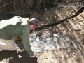 Tracking in San Diego County