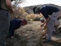 Tracking in San Diego County