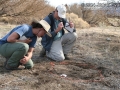 Tracking in San Diego County