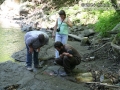 Tracking in New England