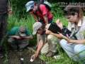 Tracking in New England