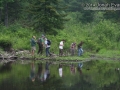 Tracking in New England