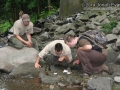 Tracking in New England
