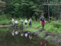 Tracking in New England