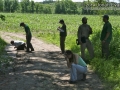 Tracking in New England