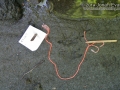 Opossum Tracks