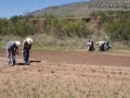 Tracking in West Texas