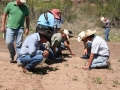 Tracking in West Texas