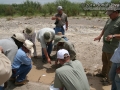 Tracking in West Texas