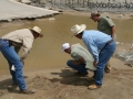 Tracking in West Texas