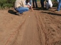 Roadrunner Tracks