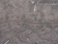 Scorpion Tracks