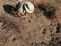 Tracking in San Diego County