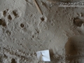 Ant Lion Trap