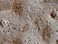 House Cat Tracks