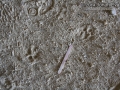 Bobcat Carpal Pad