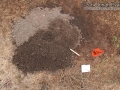 Pocket Gopher Sign
