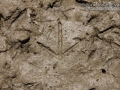 Snipe Tracks