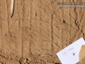 Caterpillar Tracks