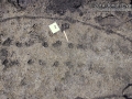 Turtle Tracks