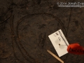 Deer Tracks