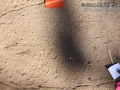 Jay Tracks