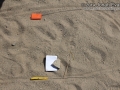 Roadrunner Tracks