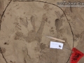 Hand Print