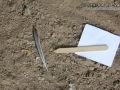 Swallow Feather