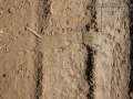 Turtle Tracks