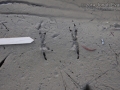 Flicker Tracks