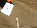 Pocket Mouse Tracks