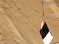 Toad Tracks