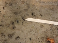 Katydid Scat
