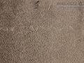 Snake Tracks